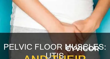 do urinary tract infections cause weaken pelvic muscles