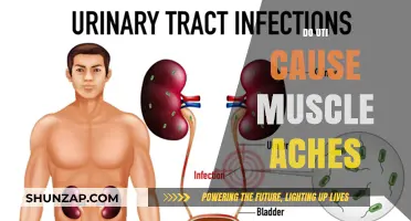 UTI and Muscle Aches: What's the Connection?