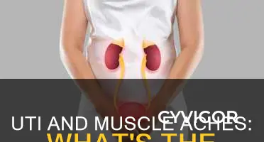 do uti cause muscle aches