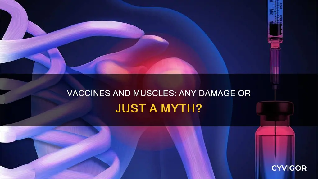 do vaccines damage muscle