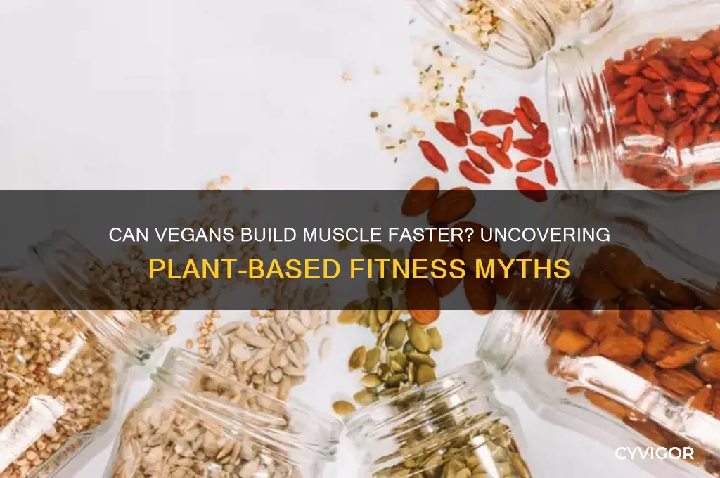 do vegans gain muscle faster