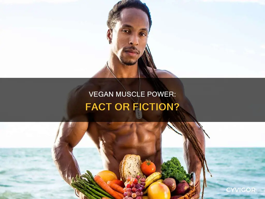 do vegans have less muscle