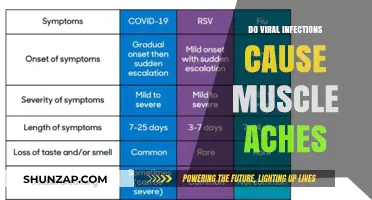 Viral Infections: The Link to Muscle Aches and Pains