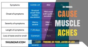 How Viruses Cause Muscle Aches and Pains