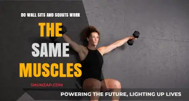 Wall Sits vs Squats: Targeting the Same Muscles or Different?