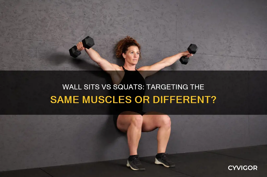 do wall sits and squats work the same muscles