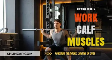 Wall Squats and Calf Muscles: Do They Really Work Together?