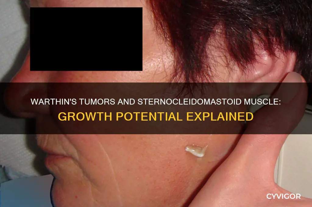 do warthins tumors grow into sternocleidomastoid muscle