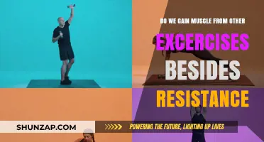 Beyond Resistance: Surprising Exercises That Build Muscle Effectively