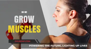 Unveiling Muscle Growth: How Our Bodies Build Strength and Size