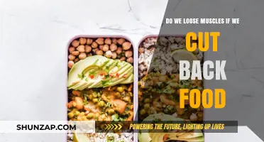 Exploring the Impact of Reduced Food Intake on Muscle Health