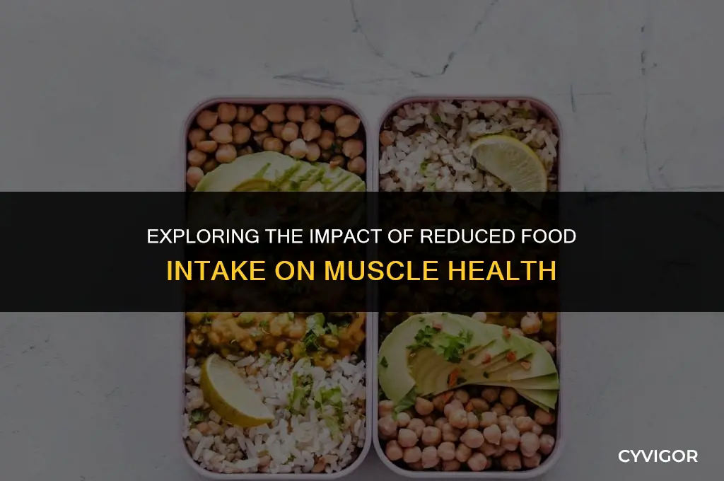 do we loose muscles if we cut back food