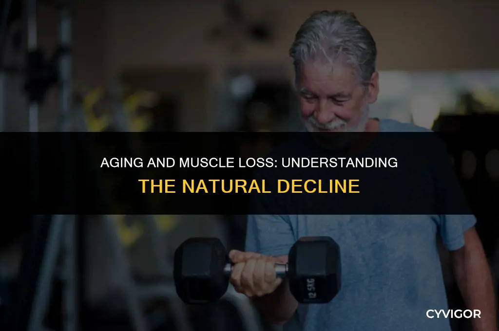 do we lose muscle mass as we get older