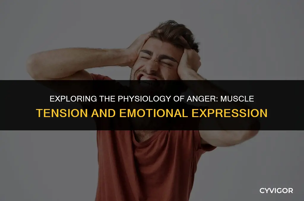 do we use more muscle when we get mad
