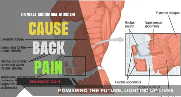 Weak Abs, Back Pain: Is There a Link?