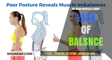 Weak Muscles: The Root Cause of Poor Balance?