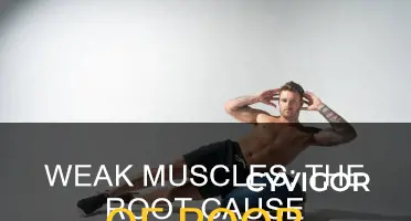 do weak muscles cause lack of balsnce