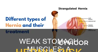 do weak stomach muscles cause hernia