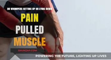 Pulled Muscle Pain: Whimpers Worse When Getting Up or Lying Down?