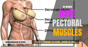 Pectoral Muscles in Women: Fact or Fiction?