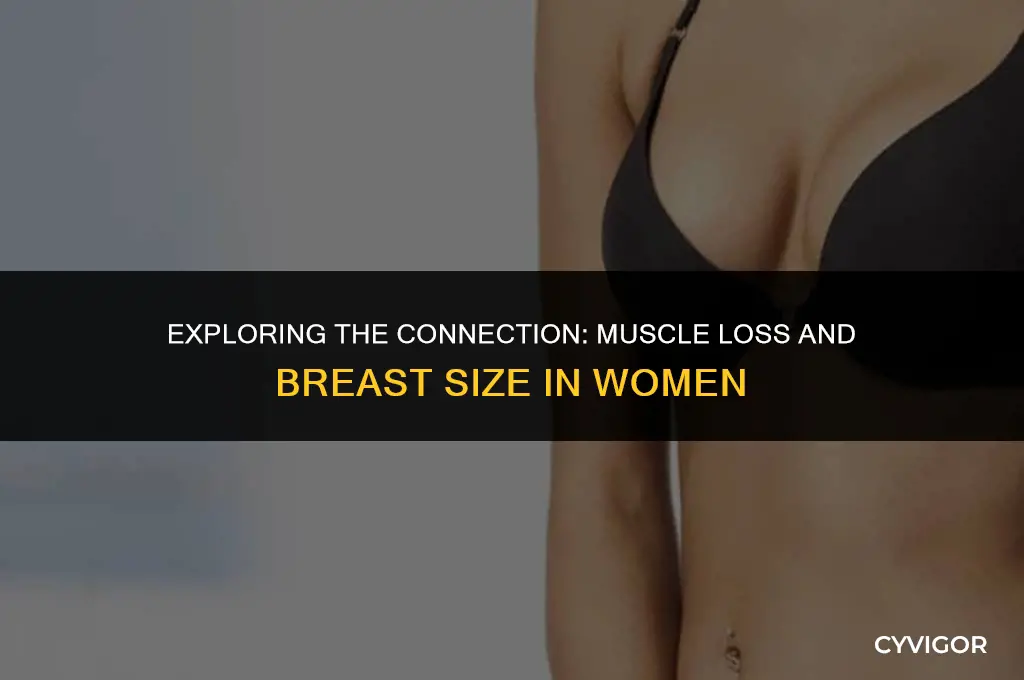 do womens breast get larger when their is muscle loss