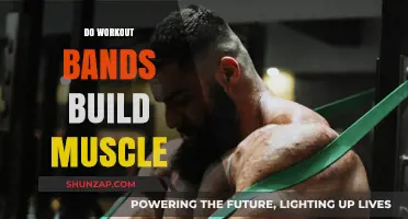 Resistance Bands: Effective for Muscle Building?