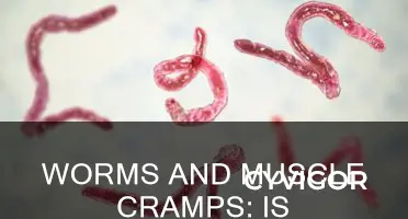 do worms cause muscle cramps