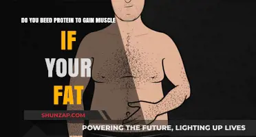 Can You Build Muscle Without Protein While Being Overweight?