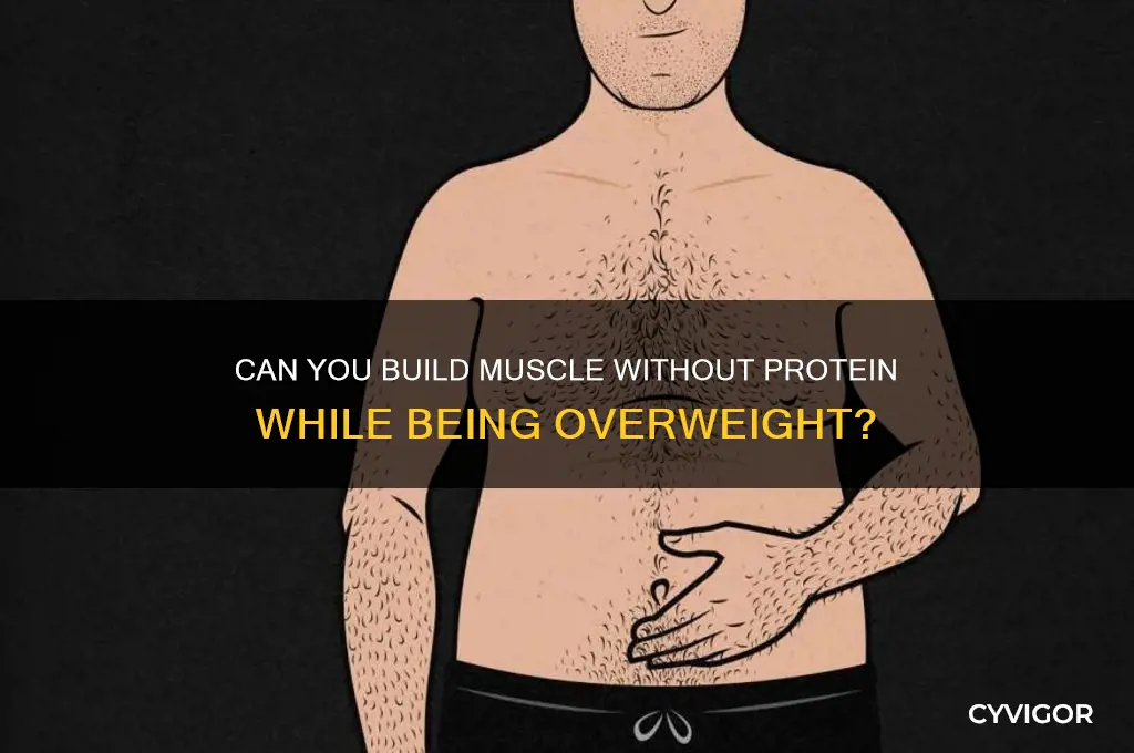 do you beed protein to gain muscle if your fat