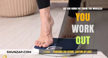 Does Working Out Specific Muscles Burn Fat in Those Areas?