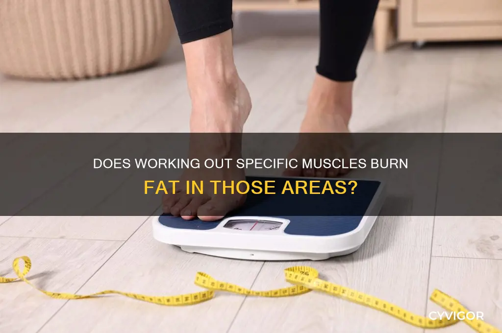 do you burn fat from the muscles you work out