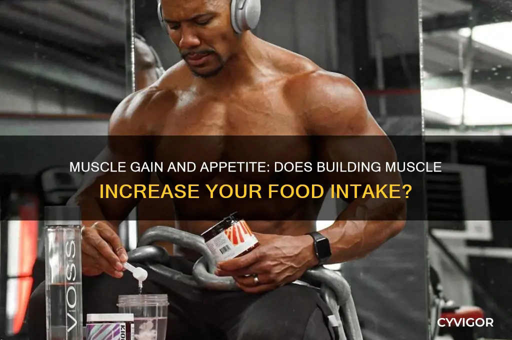 do you eat more when you start gaining muscle