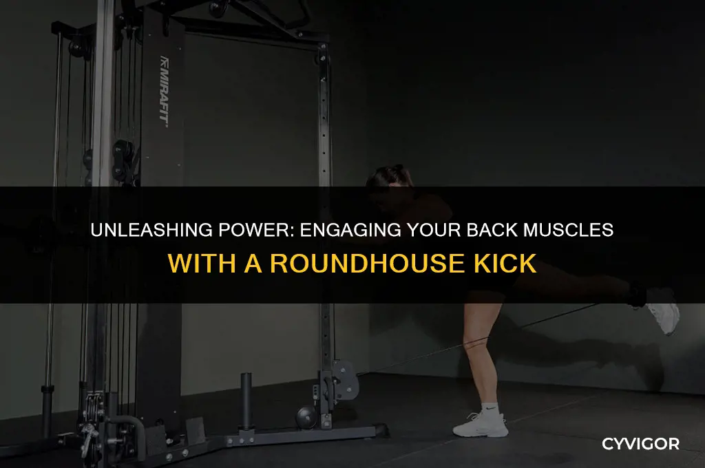 do you engage your back muscles with a roundhouse kick