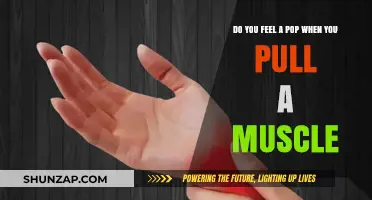 Understanding Muscle Injuries: Does a Pop Indicate a Pulled Muscle?