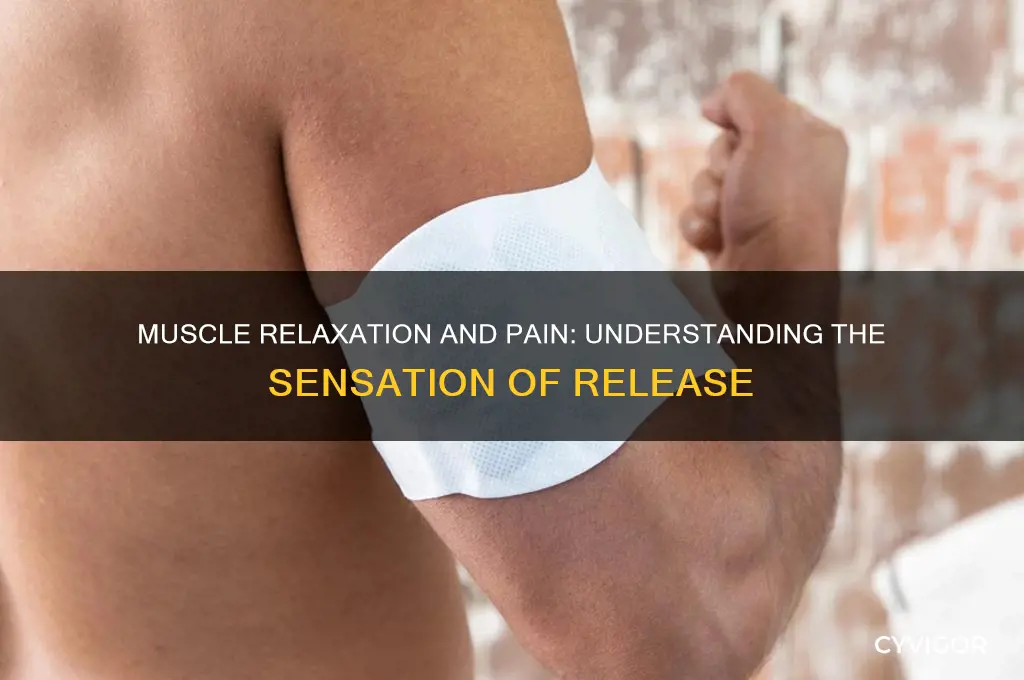 do you feel pain when a muscle relaxes