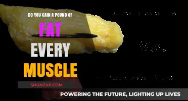 Muscle vs. Fat: Debunking the Pound-for-Pound Gain Myth