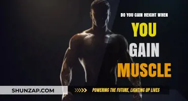 Does Muscle Gain Increase Height? Separating Fact from Fiction