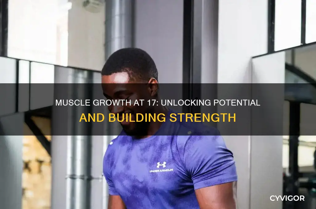 do you gain more muscle when you turn 17