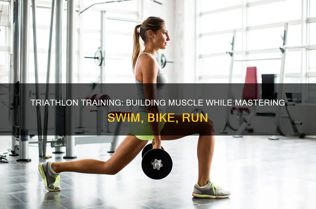 do you gain muscle asba triathlete
