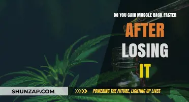 Rebuilding Muscle: How Quickly Can You Regain Lost Strength?