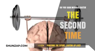 Muscle Memory: Does Prior Training Accelerate Second-Time Muscle Gain?