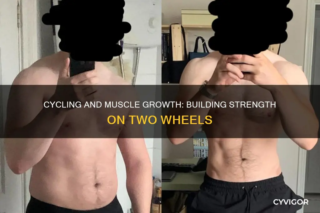 do you gain muscle from cycling