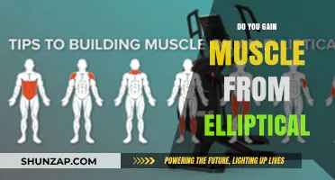Can Elliptical Workouts Build Muscle? Unlocking the Truth