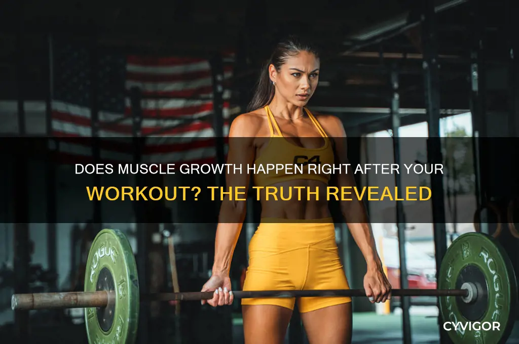 do you gain muscle immediately after working out