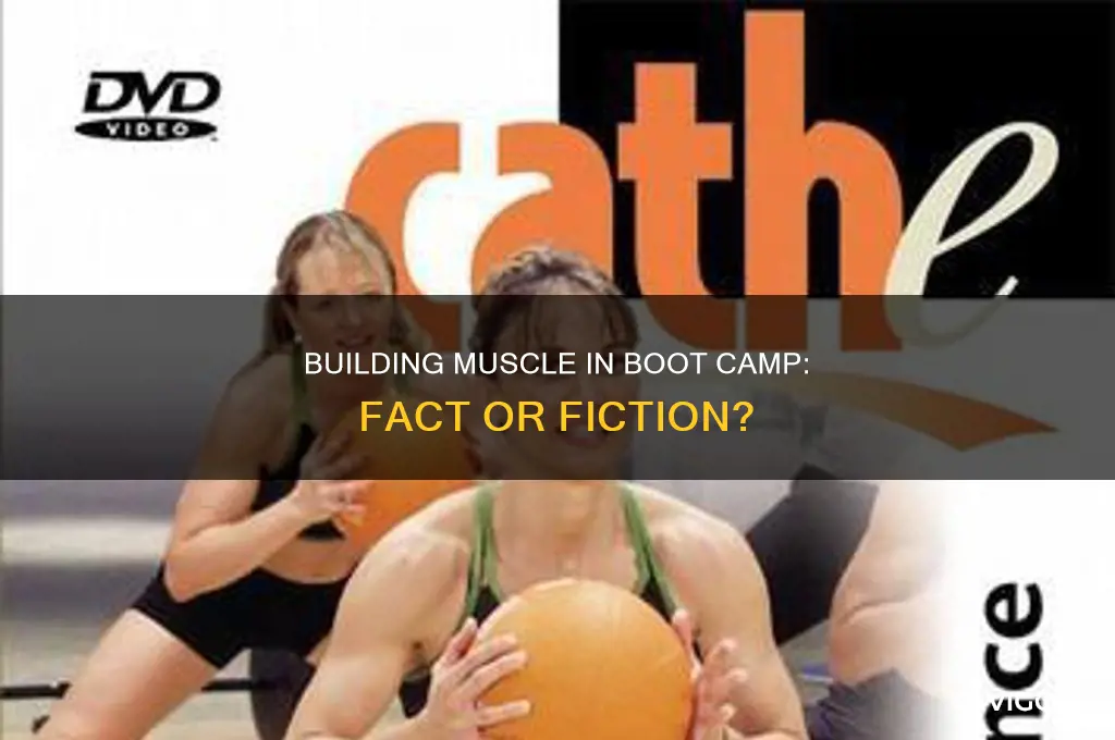 do you gain muscle in boot camp