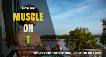 Does Testosterone Help Build Muscle? Facts and Myths Explained