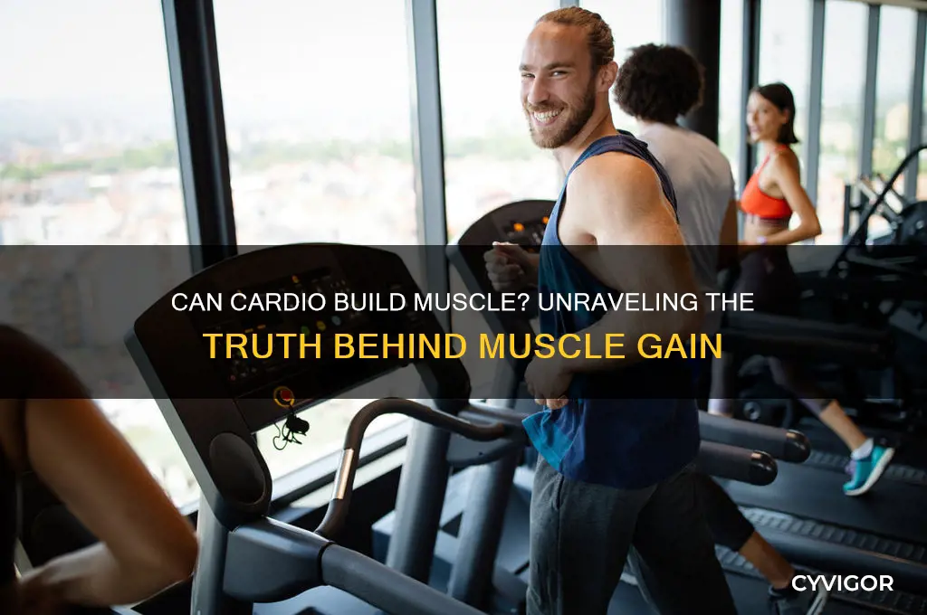 do you gain muscle weight from cardio