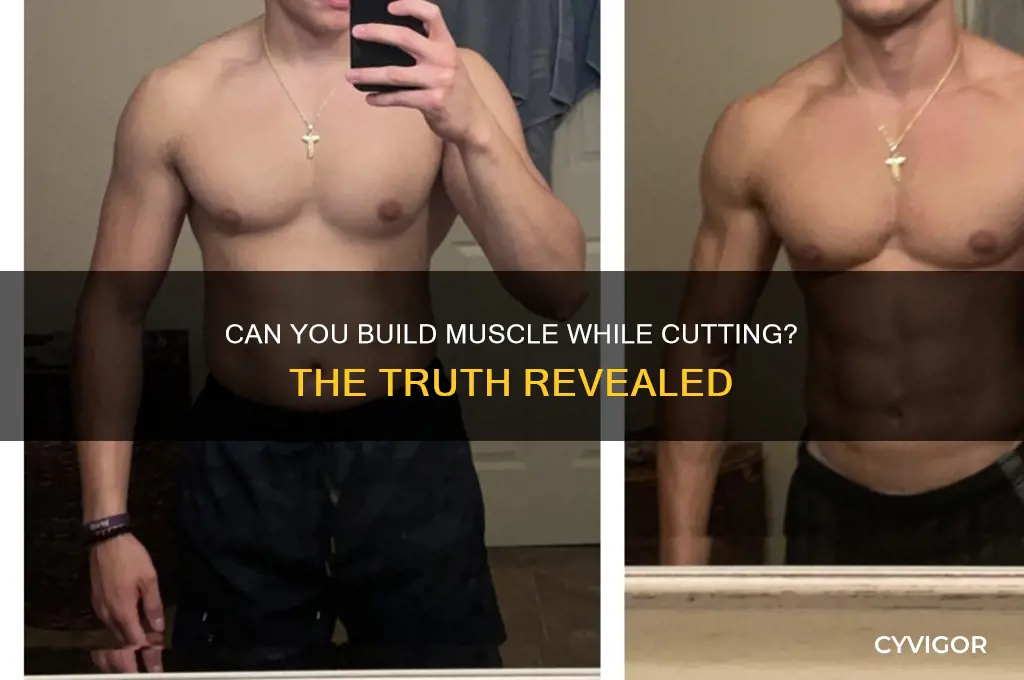 do you gain muscle when cutting