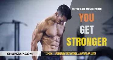 Strength Gains and Muscle Growth: Unraveling the Connection