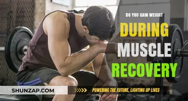 Muscle Recovery and Weight Gain: Understanding the Post-Workout Connection